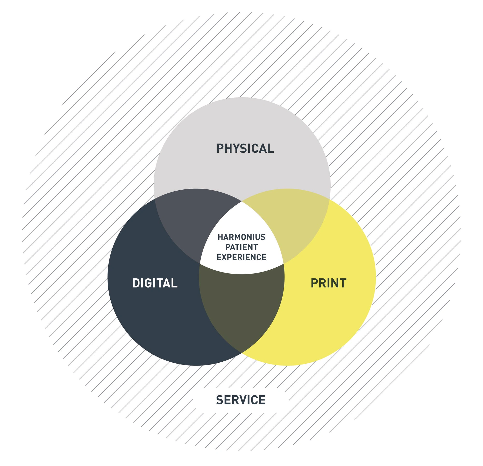 Diagram of physical, digital, print and service touchpoints overlapping