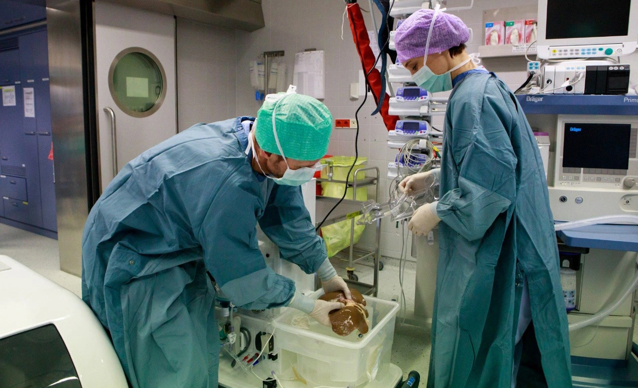 Surgical team preparing a liver for perfusion