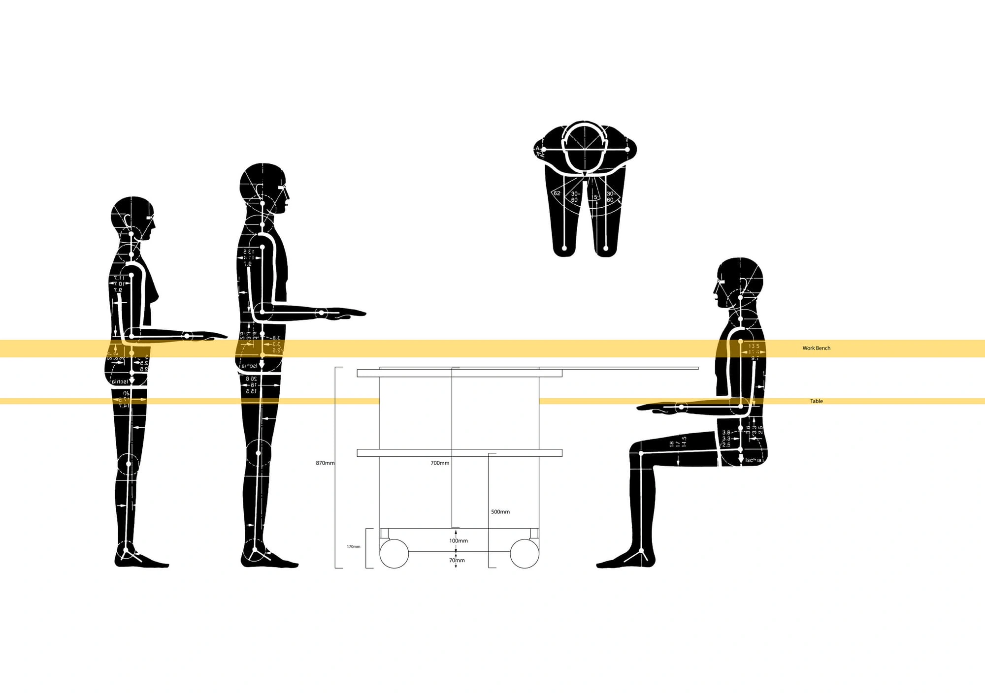 Ergonomic study of the system against standing and seated users
